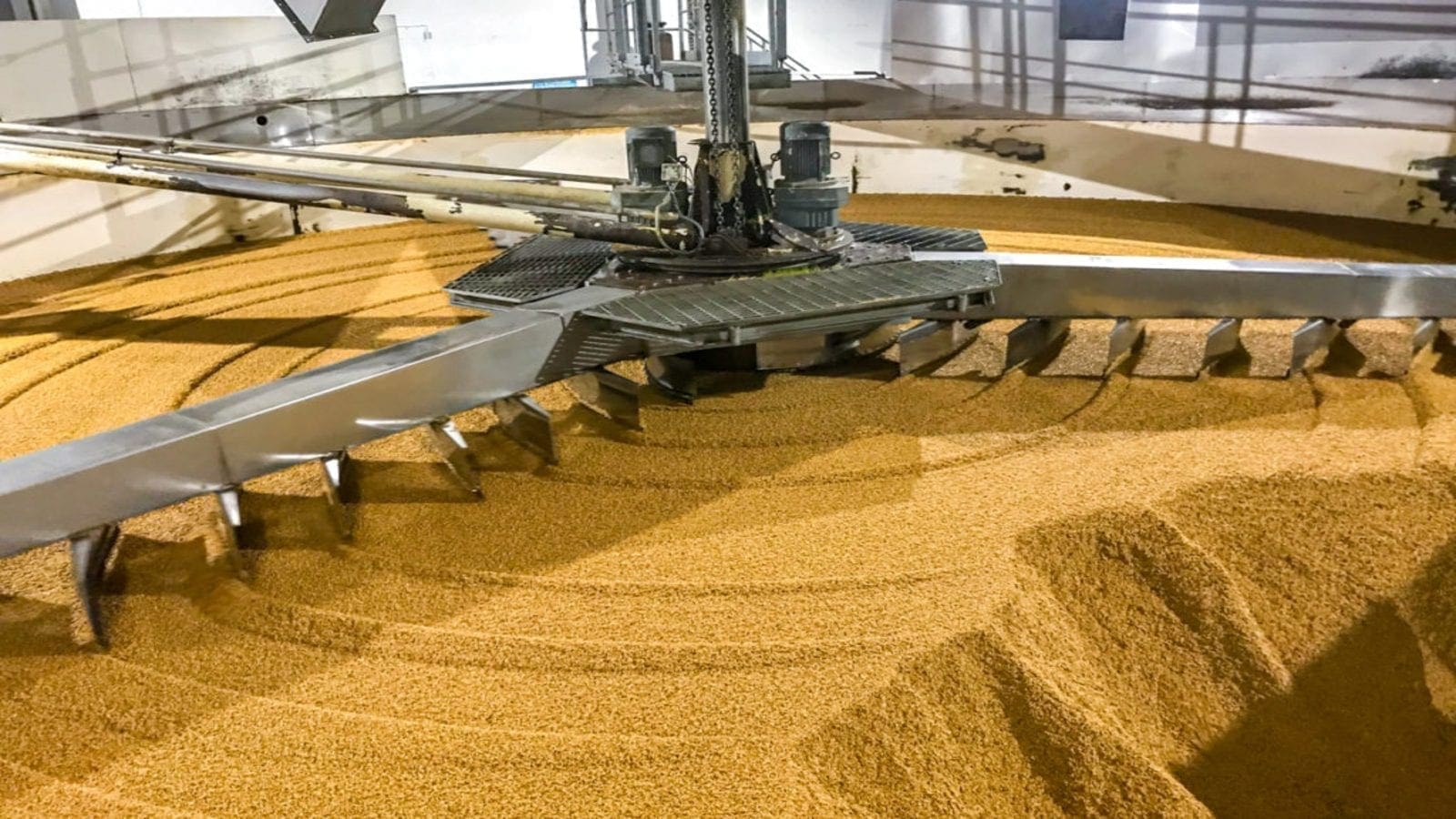 Thumbnail for Global malting company Boortmalt kick starts production at its US$71m plant in Ethiopia