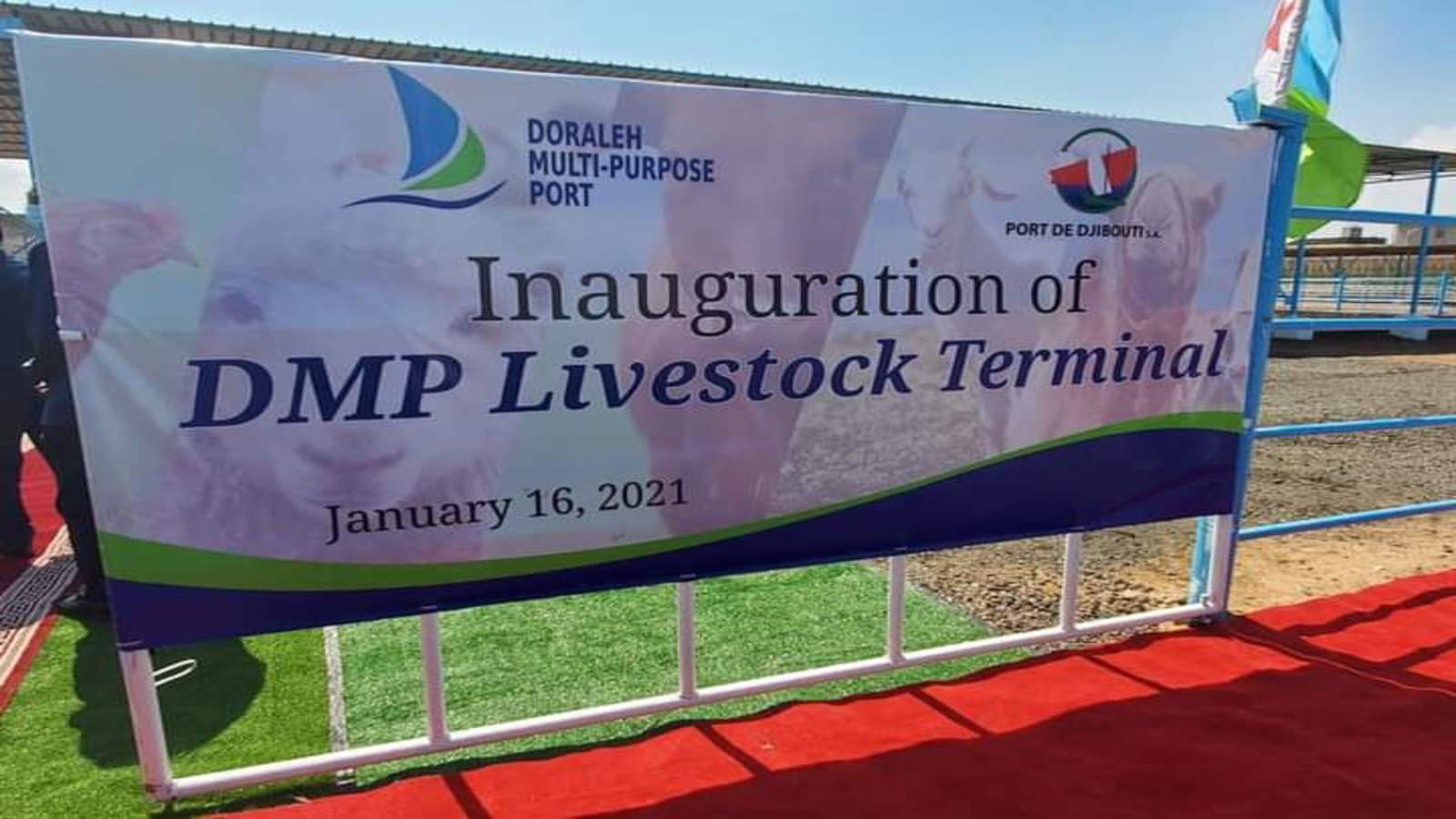 Thumbnail for Djibouti partners with Ethiopia in opening livestock exclusive terminal at Doraleh Multipurpose Port