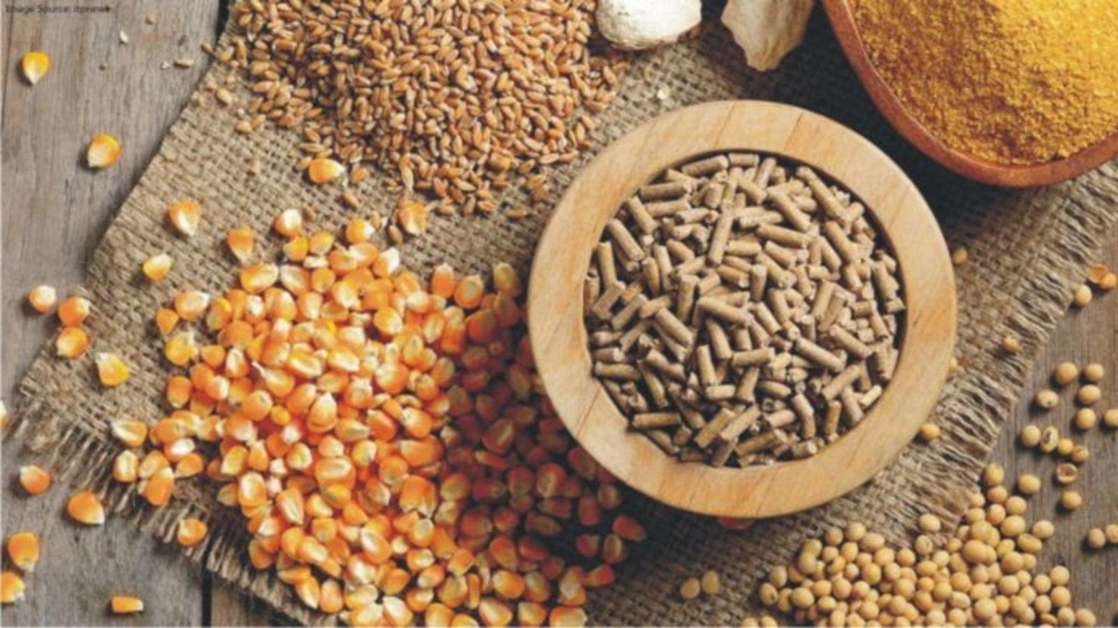 Thumbnail for Samona Zambia Limited sets up agribusiness venture with US$500k investment