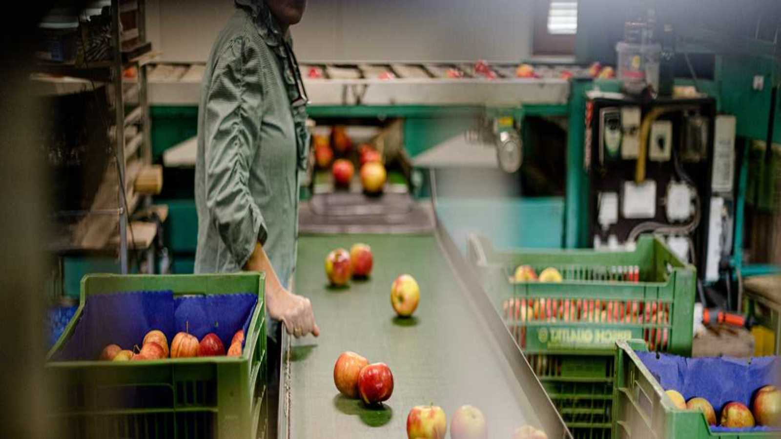Thumbnail for SA startup Nile introduces online marketplace connecting producers to commercial buyers