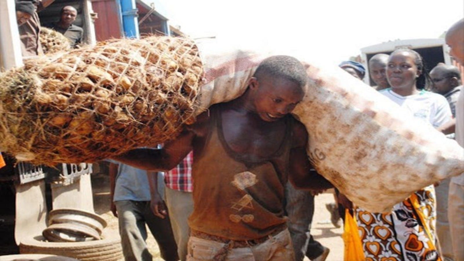 Thumbnail for Potato growing regions in Kenya enforce the 50kg packaging rule