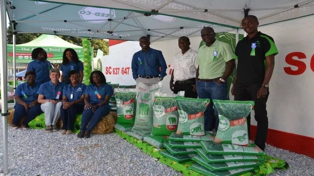 Thumbnail for Seed Co highlights there will be no board changes following its merger with Zimbabwean unit