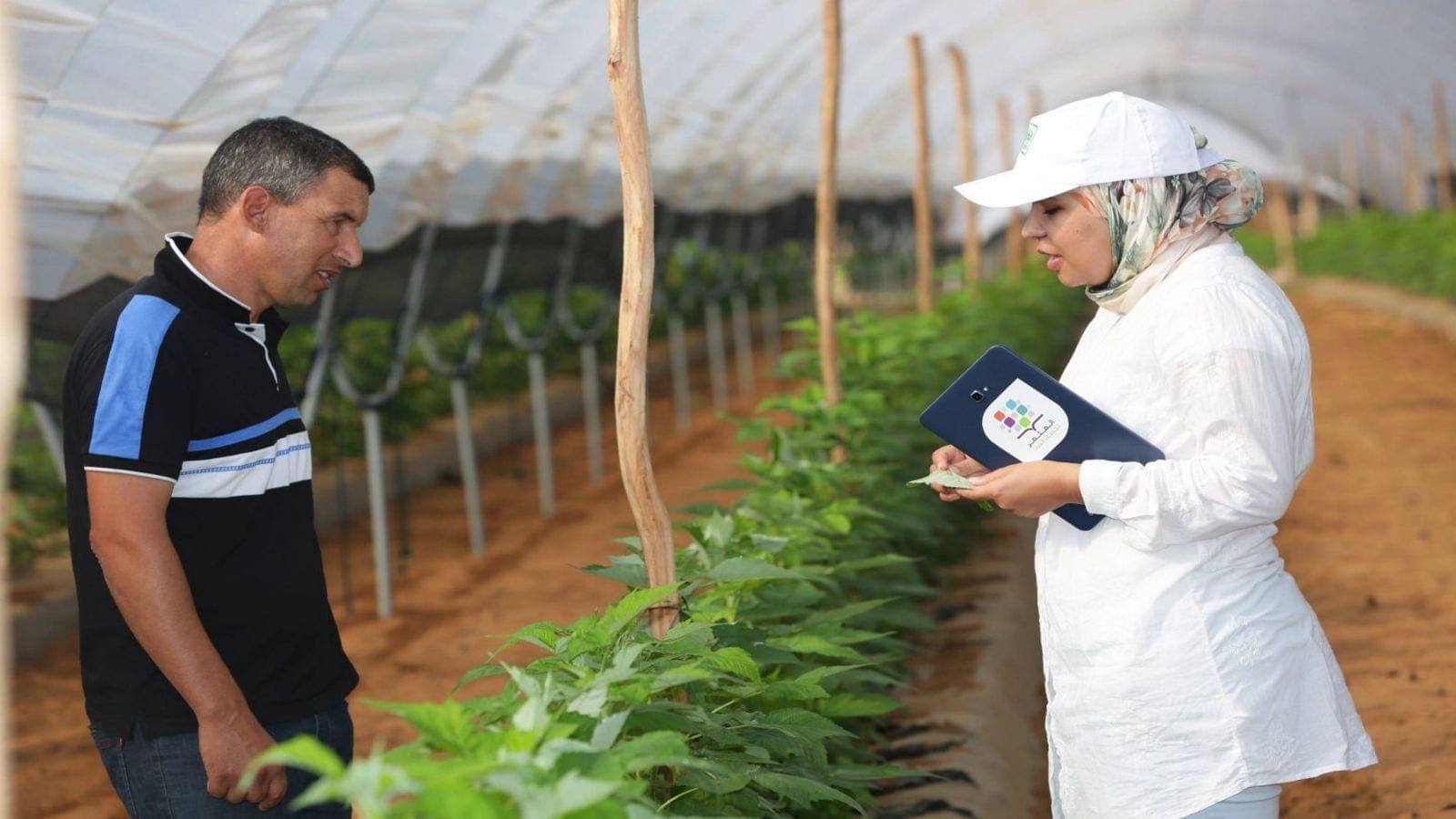 Thumbnail for Fertilizer giant OCP Group launches agricultural development centered website to promote industry growth