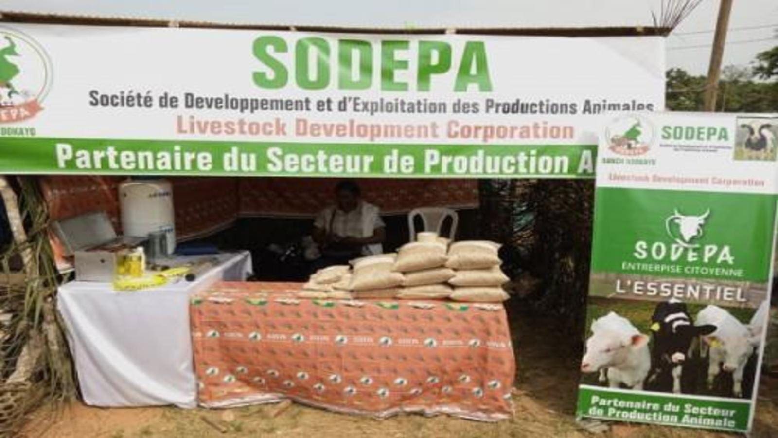 Thumbnail for Cameroonian Livestock Development Corporation becomes a full fledged public entity