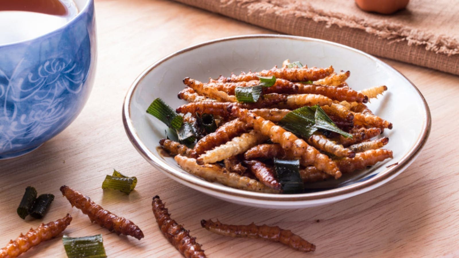 Thumbnail for Demand for alternative proteins to foster growth of insect food and feed markets in 2021 – IPIFF