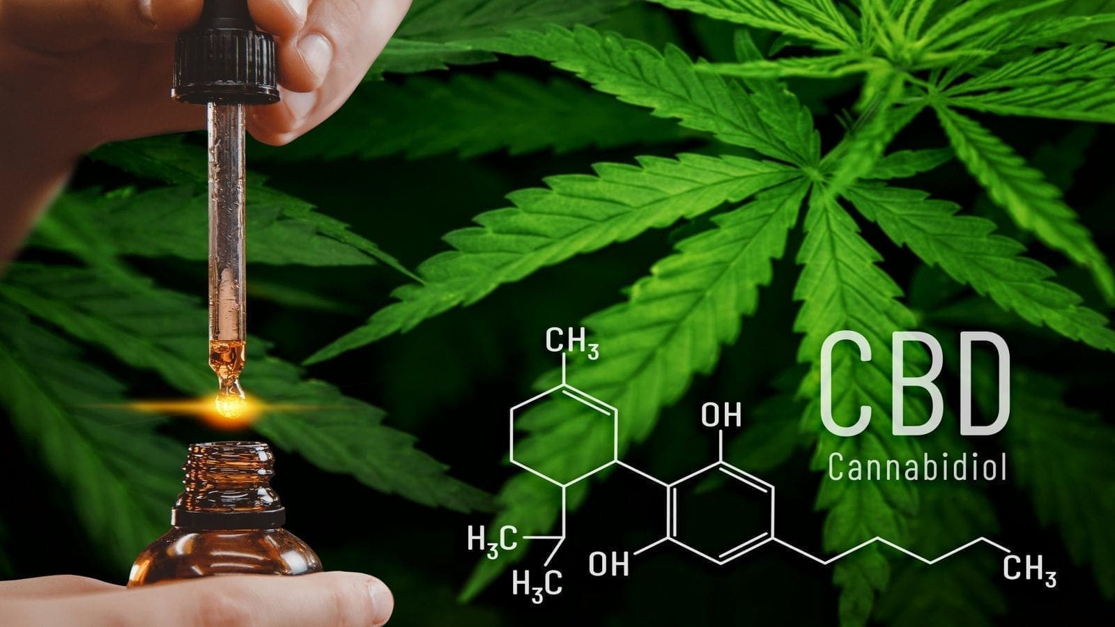 Thumbnail for CBD safe for use in food as it does not cause liver damage- Validcare