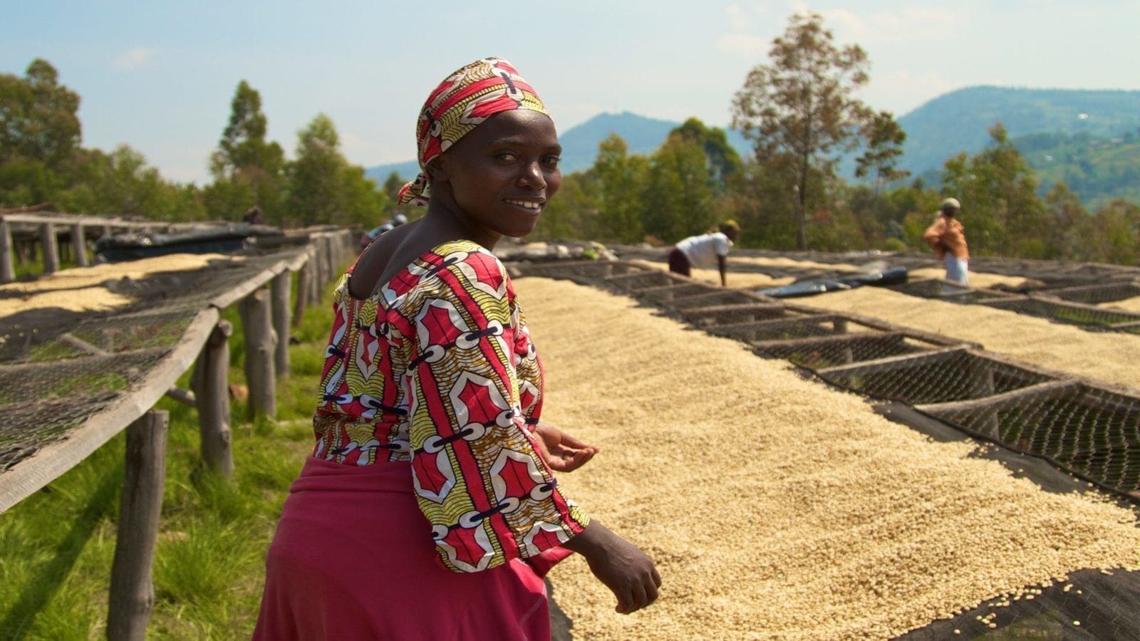 Thumbnail for Impact investor Root Capital to finance agribusinesses in Africa through US$35m DFC’s investment