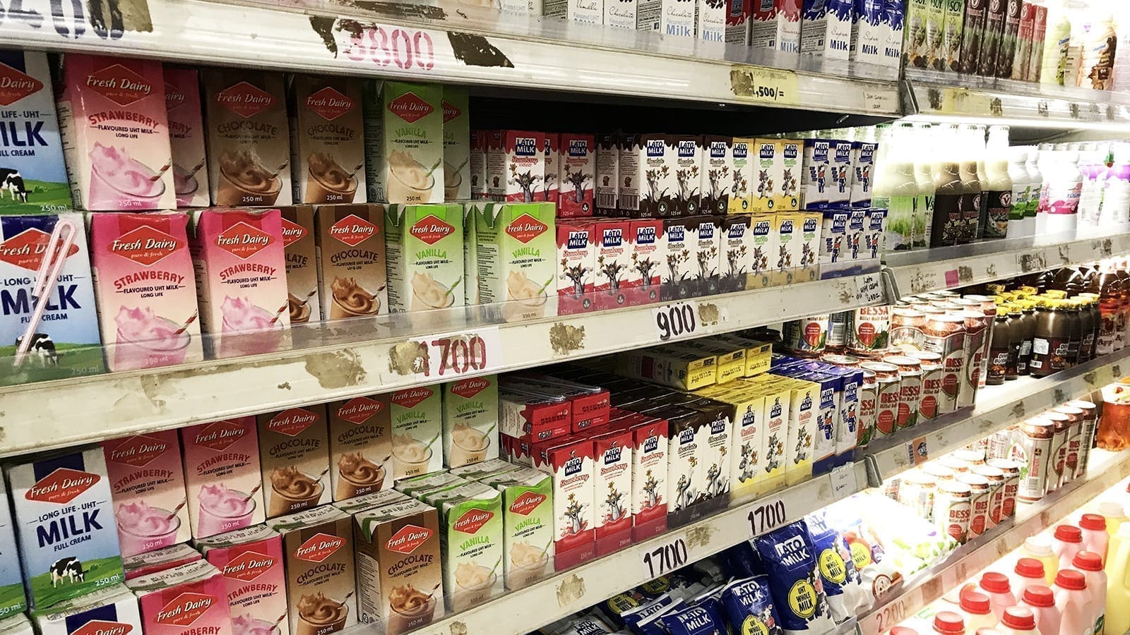 Thumbnail for The dairy industry in Uganda offers glimmer of hope for the country’s food industry