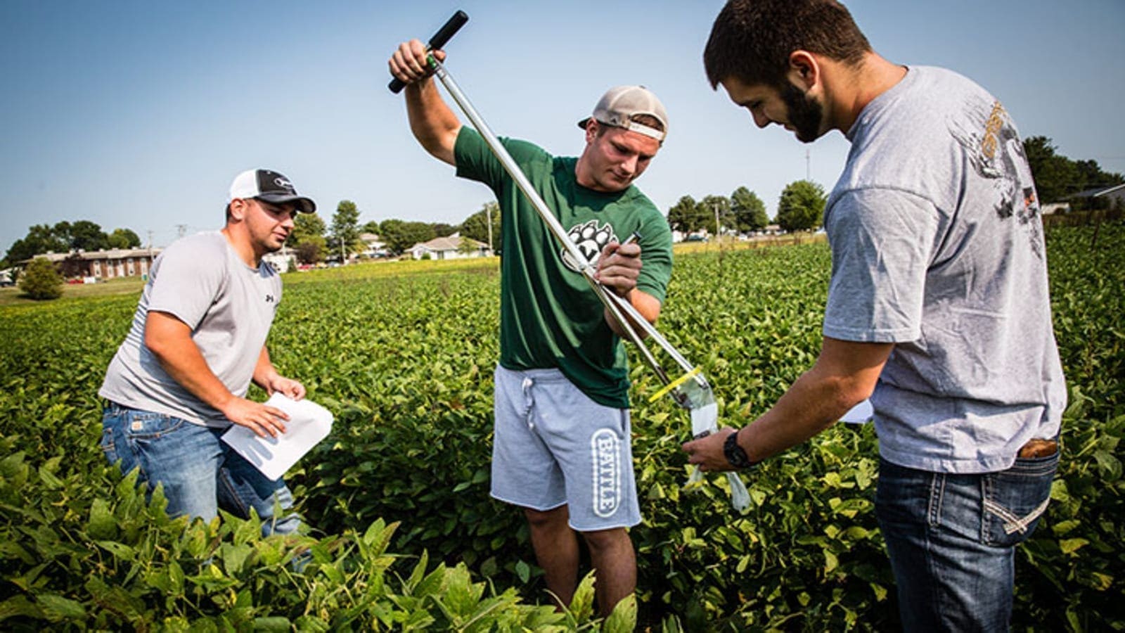 Thumbnail for Canada invests $148m in sustainable agriculture practices as Protein Industries backs development of new soybean products