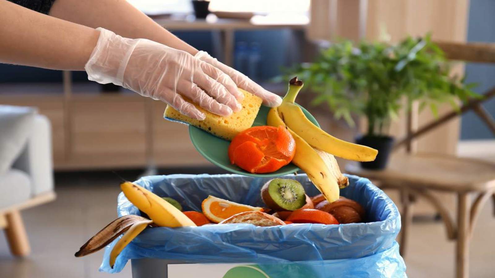 Thumbnail for 17% of total food available to consumers globally goes to waste despite millions facing hunger – UN