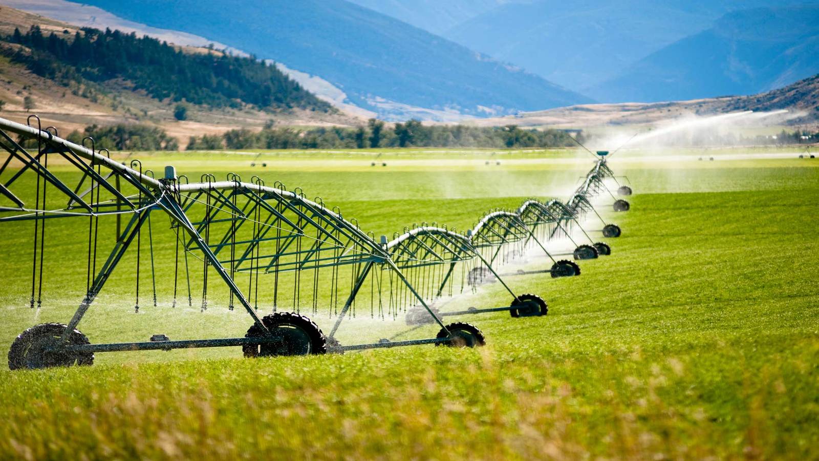 Thumbnail for Danone, Ingredion pledge to adopt sustainable agriculture practices on more than 1 million acres of land