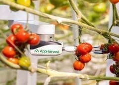 Thumbnail for AppHarvest acquires agricultural robotics company as Singaporean firm deploys robots in grocery delivery