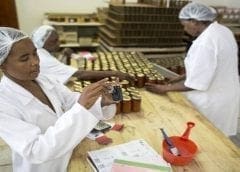 Thumbnail for FAO, AU champion expansion of Africa’s intra-agricultural trade in new AfCFTA framework