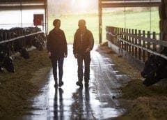 Thumbnail for Arla leverages big data to help farmers decarbonise dairy at a faster pace 