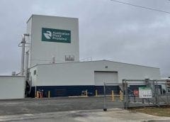 Thumbnail for Bunge expands presence in alternative protein sector with new US$35M investment in Australian plant-based protein startup