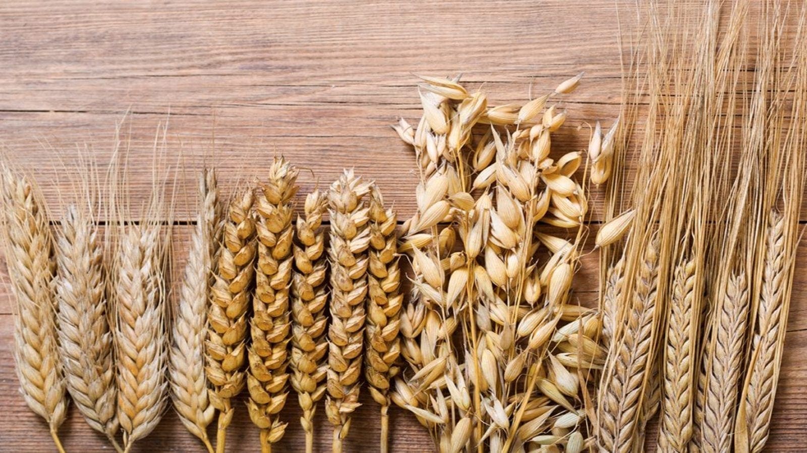 Thumbnail for Tunisia to continue relying on grain imports to meet growing demand
