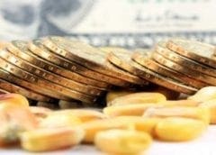 Thumbnail for Launch of Zimbabwe’s commodity exchange draws nigh to first focus on non-strategic grains