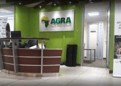 Thumbnail for AGRA, Aceli partner to enhance capital flows for SMEs in agriculture sector