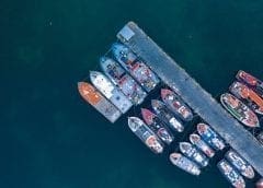 Thumbnail for Marine Stewardship Council partners with South African fisheries to achieve sustainable operations