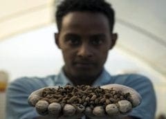 Thumbnail for Kenyan organic feed, fertilizer maker Ecodudu breaks ground on new rearing facility
