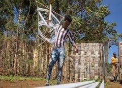 Thumbnail for IFAD, EU invest US$32m in Ethiopian rural financial institutions to support agriculture sector mitigate pandemic effects