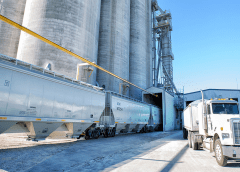 Thumbnail for Bartlett Milling invests in capacity expansion as foreign demand fuel rise in US corn and sorghum exports