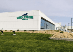 Thumbnail for Wholestone Farms to establish US$500m pork facility in South Dakota as Hill’s Pet Nutrition invests in a new plant in Kansas