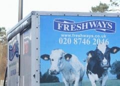 Thumbnail for Medina and Freshways Dairies to merge businesses in pursuit of greater liquid milk market