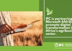Thumbnail for IFC partners with Microsoft to digitize agribusiness sector in Africa