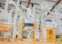 Thumbnail for Ghana commissions US$1.2m rice processing facility to boost production of the staple crop