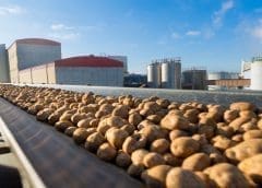 Thumbnail for Austrian food company Agrana invests US$29m in expanding starch production capacity