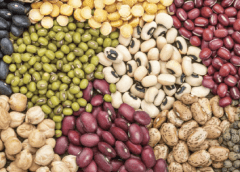 Thumbnail for Pet food market in MEA region holds great potential following rise in pet ownership – Eurominitor