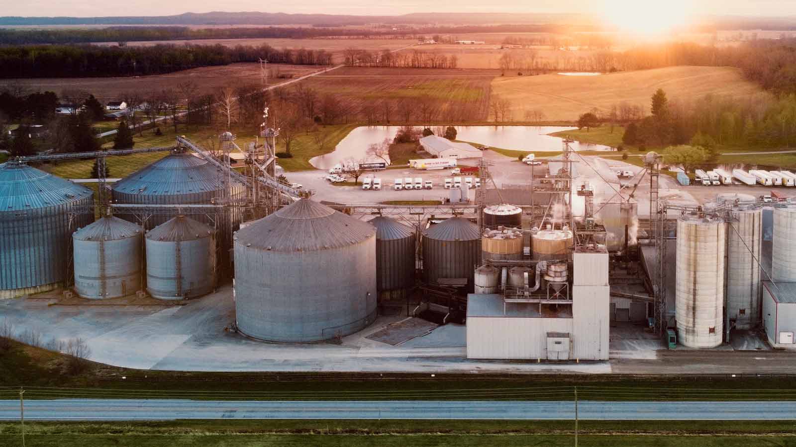 Thumbnail for Benson Hill invests US$28m in soy processing capabilities to meet “exploding demand”