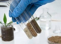 Thumbnail for Agricultural service provider Cropnuts launches cutting edge soil testing platform powered by AI