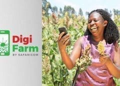 Thumbnail for NCPB partners with Safaricom’s integrated mobile platform DigiFarm to enable farmers access post-harvest services