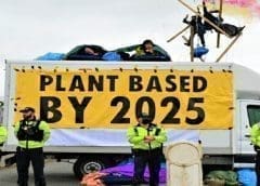 Thumbnail for Arla Foods faces new pressure to fully transition to plant-based dairy by 2025