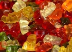Thumbnail for Catalent eyes share of nutritional suppliments market with planned acquisition of Bettera Holdings for US$1bn