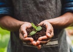 Thumbnail for Nestlé to invest US$1.28m in next half a decade to support transition to regenerative food system