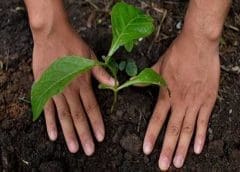 Thumbnail for Nestlé to support 40,000 young farmers adopt regenerative farming practices as part of net zero ambitions