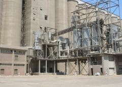 Thumbnail for Egypt to build US$33m silo to boost grain storage by 100,000 tonnes