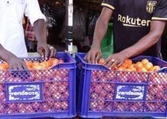 Thumbnail for B2B marketplace Vendease gets US$3.2m to help hotels, restaurants access food supplies in Africa