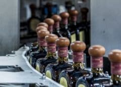 Thumbnail for Diageo to expand tequila production capacity with US$500m investment in new facilities in Mexico