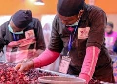 Thumbnail for Aruwa Capital invests in Nigerian hibiscus processor Agroeknor International