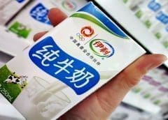 Thumbnail for Yili beats expectations to register 30% growth in 9-month profits, commits to protect biodiversity in China