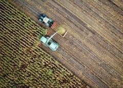 Thumbnail for FMO partners with Endeavor to increase support to early-stage agri-tech ventures across Africa
