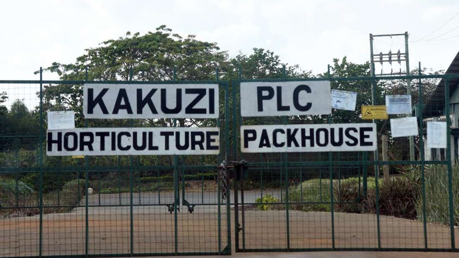 Thumbnail for Capital Markets Tribunal authorizes CMA to probe Kakuzi’s unsupported payments