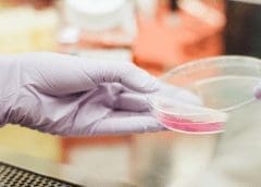 Thumbnail for Puratos acquires THT to expand capabilities in probiotics