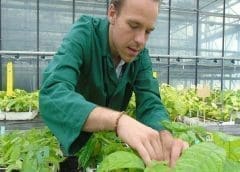 Thumbnail for Nestlé creates new research institute to accelerate transition to regenerative agriculture 
