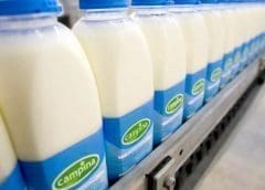 Thumbnail for Probiotic beverage company Yakult to invest US$12m in modernizing Brazilian facility 