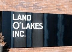 Thumbnail for American farmer cooperative Land O’Lakes delivers 14 percent topline growth in 2021  